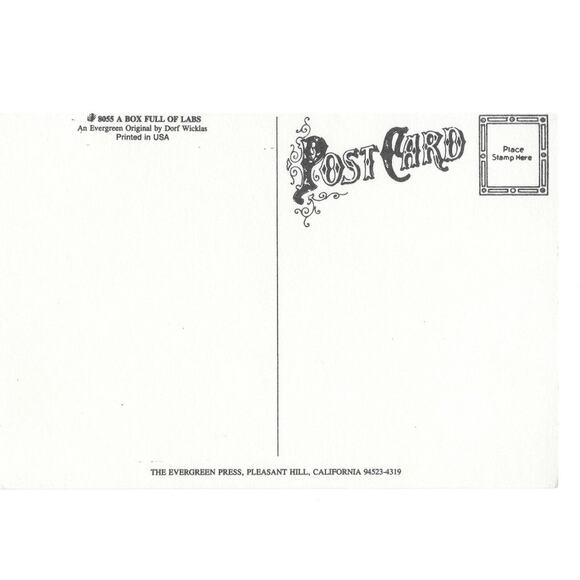 A Box Full of Labs Holiday Postcard Unposted - Picture 2 of 2